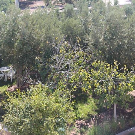 Les Jardins Fleuris Bed & Breakfast Suvayr Dış mekan fotoğraf